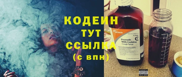 дмт Богородск